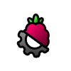 rbpi